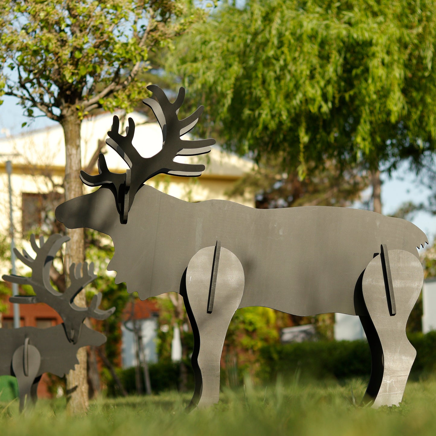 Black Moose, Unique Standing Deer