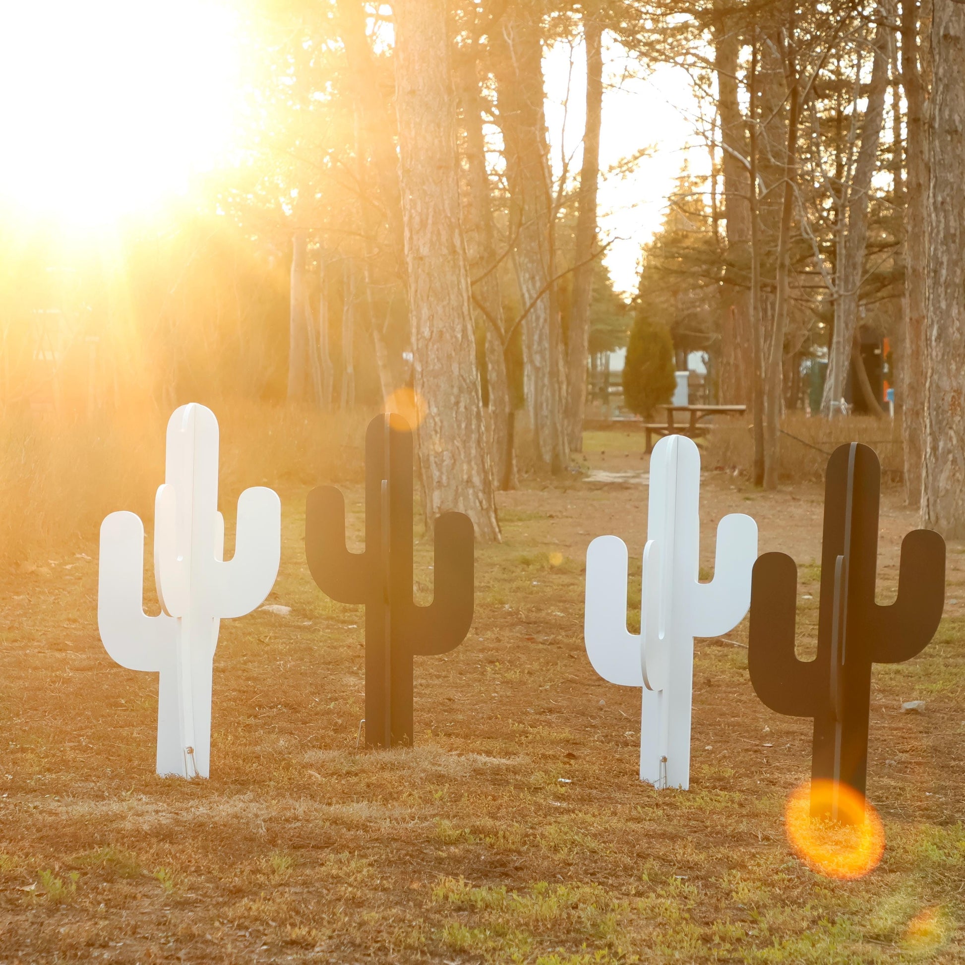 Cactus Yard Display, All-Weather Western PVC Yard Art, Ranch Garden Decoration, Desert Silhouette Outdoor Decor, Country Fence or Lawn Art