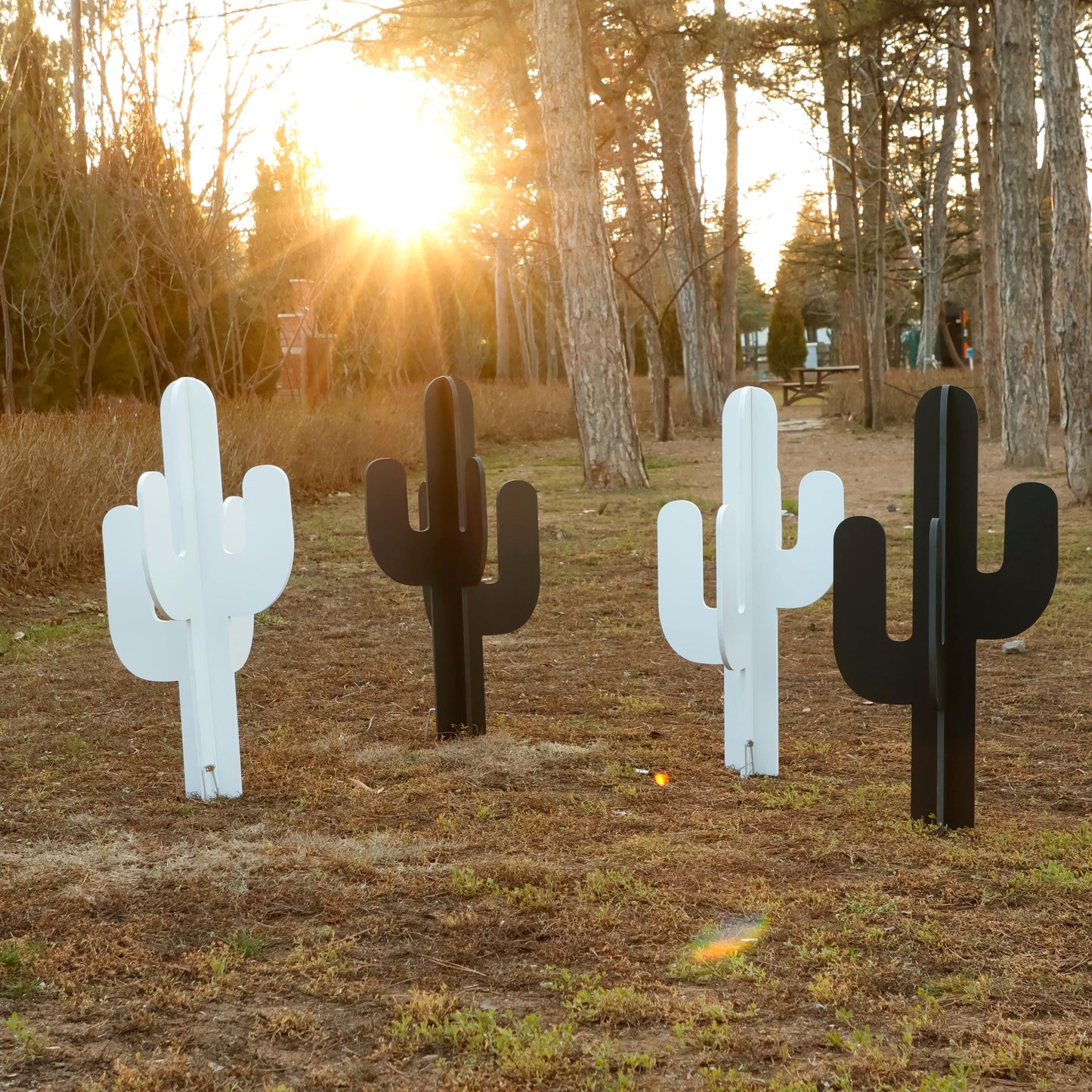 Cactus Yard Display, All-Weather Western PVC Yard Art, Ranch Garden Decoration, Desert Silhouette Outdoor Decor, Country Fence or Lawn Art