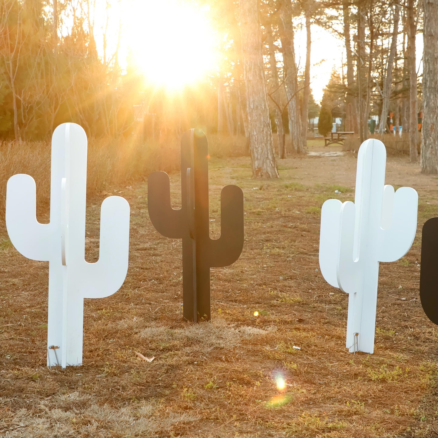 Cactus Yard Display, All-Weather Western PVC Yard Art, Ranch Garden Decoration, Desert Silhouette Outdoor Decor, Country Fence or Lawn Art