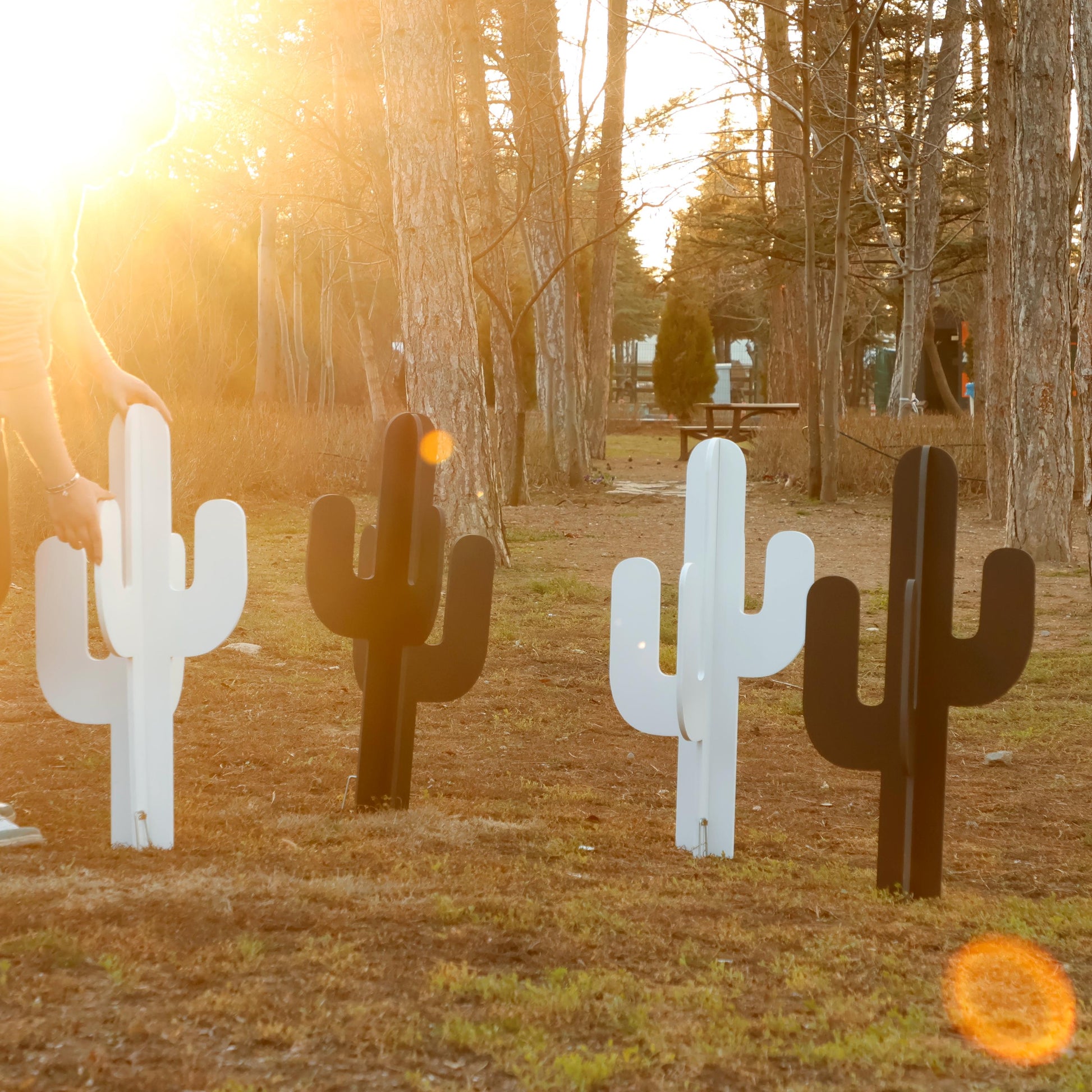 Cactus Yard Display, All-Weather Western PVC Yard Art, Ranch Garden Decoration, Desert Silhouette Outdoor Decor, Country Fence or Lawn Art